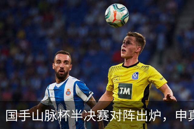 国手山脉杯半决赛对阵出炉，申真谞VS王星昊